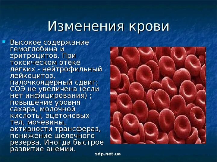 Увеличение гемоглобина в эритроците