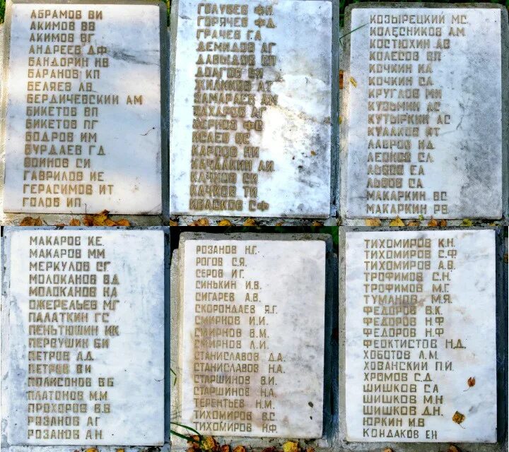 список фамилий попавших