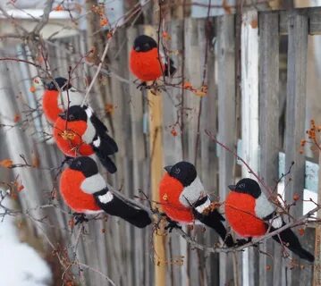 Снегири дачный