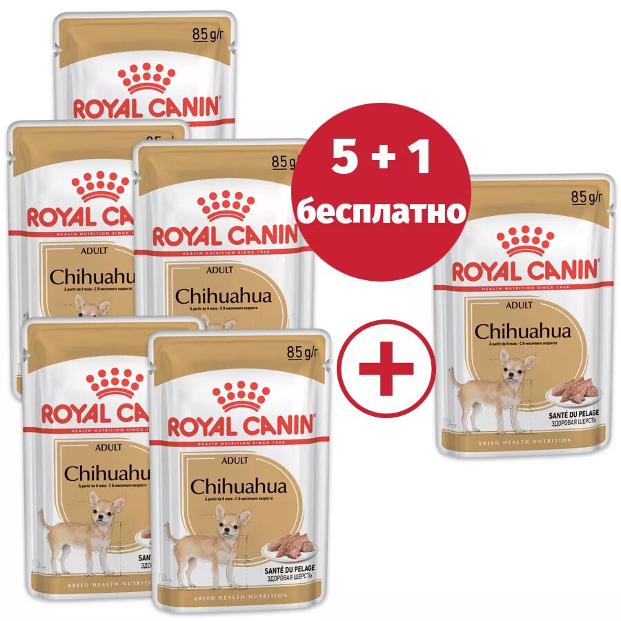 Royal Canin Chihuahua паштет. Паучи Роял Канин для чихуахуа. Роял Канин паучи для собак. Роял Канин влажный корм для собак мелких пород. Влажный корм royal для собак