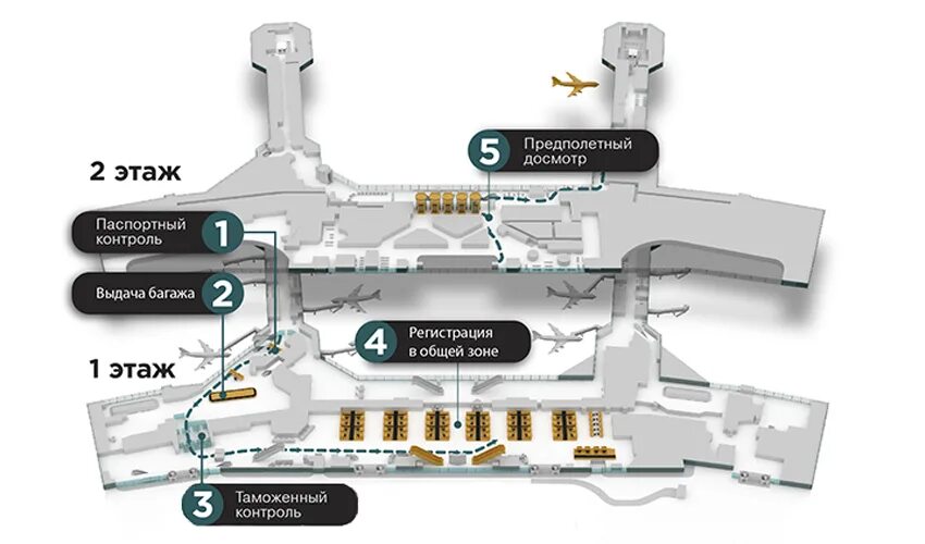 Пересадка в домодедово. Терминал т2 аэропорта Домодедово схема. Схема зоны досмотра в аэропорту Домодедово. Аэропорт Домодедово зона предполетного досмотра. Аэропорт Домодедово зона прилета международных рейсов.