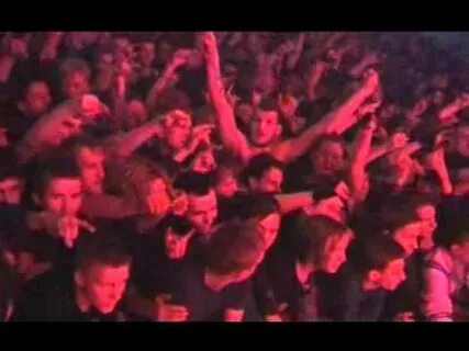 5 ноября 2005