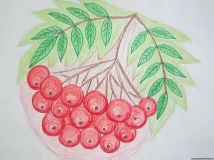 Рисуем рябину 2 класс