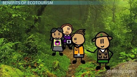 What is your attitude to ecotourism