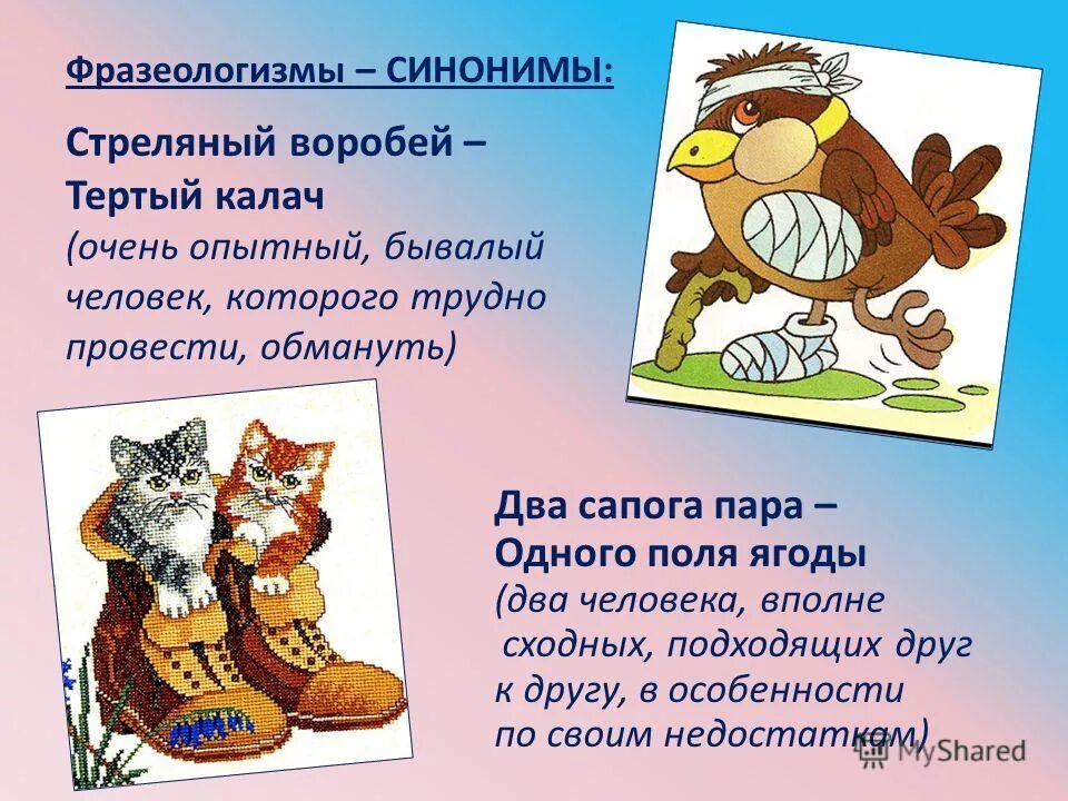 Словарь фразеологизмов с птицами. Фразеологизм про спину. Фразеологизмы с животными и их значения. Фразеологизмы из русских сказок. Вместе фразеологизм