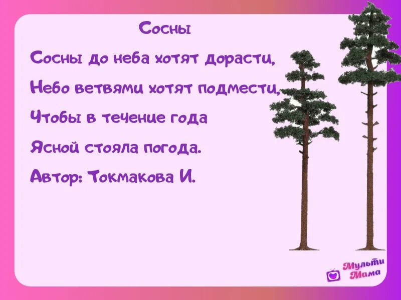 Текст про сосну. Стихи про деревья. Стих про дерево короткий. Детские стишки про деревья. Стихи про деревья для малышей.