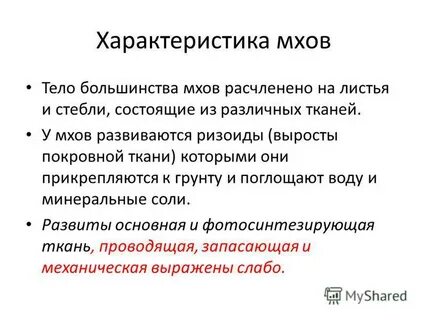 Перечислите признаки мхов