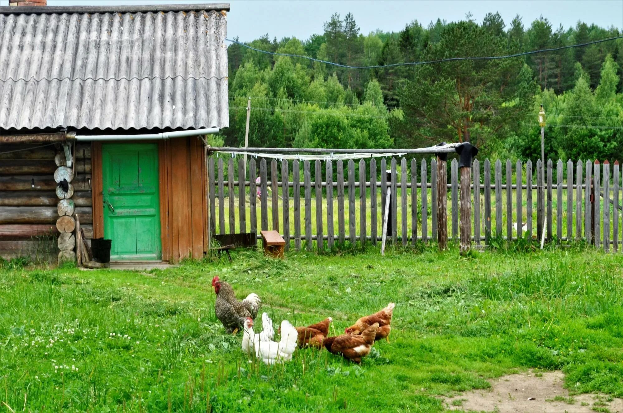 Деревенский отношение. Деревня хозяйство подворье. Двор в деревне. Деревенский дворик. Двор деревенского дома.