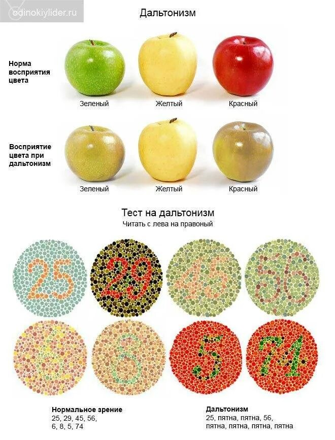 Какие цвета не различают