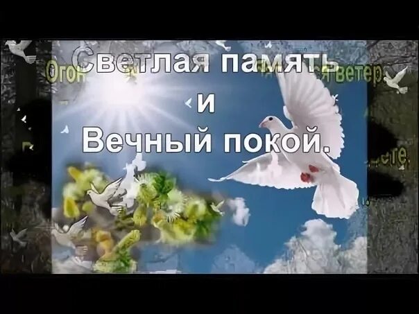 Царство небе ное вечный плкой. Царство небесное сергею. Царствие небесное вечный покой как правильно. Царство небесное земля пухом. Царство небесное соболезнования.