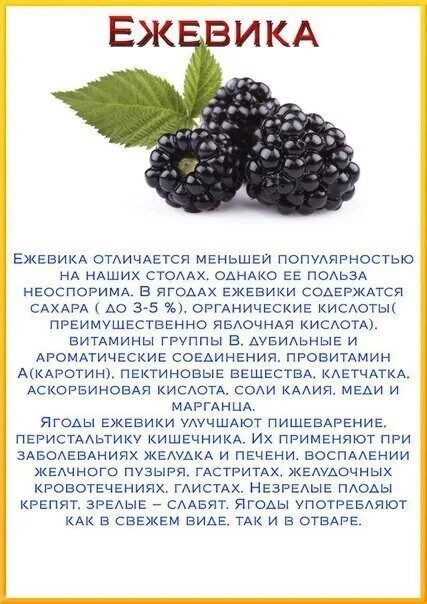 Полезные свойства ежевики садовой для организма человека. Для чего полезна ежевика. Полезные витамины в ежевике. Полезные витамины в ежевике. Витамины в ежевике.
