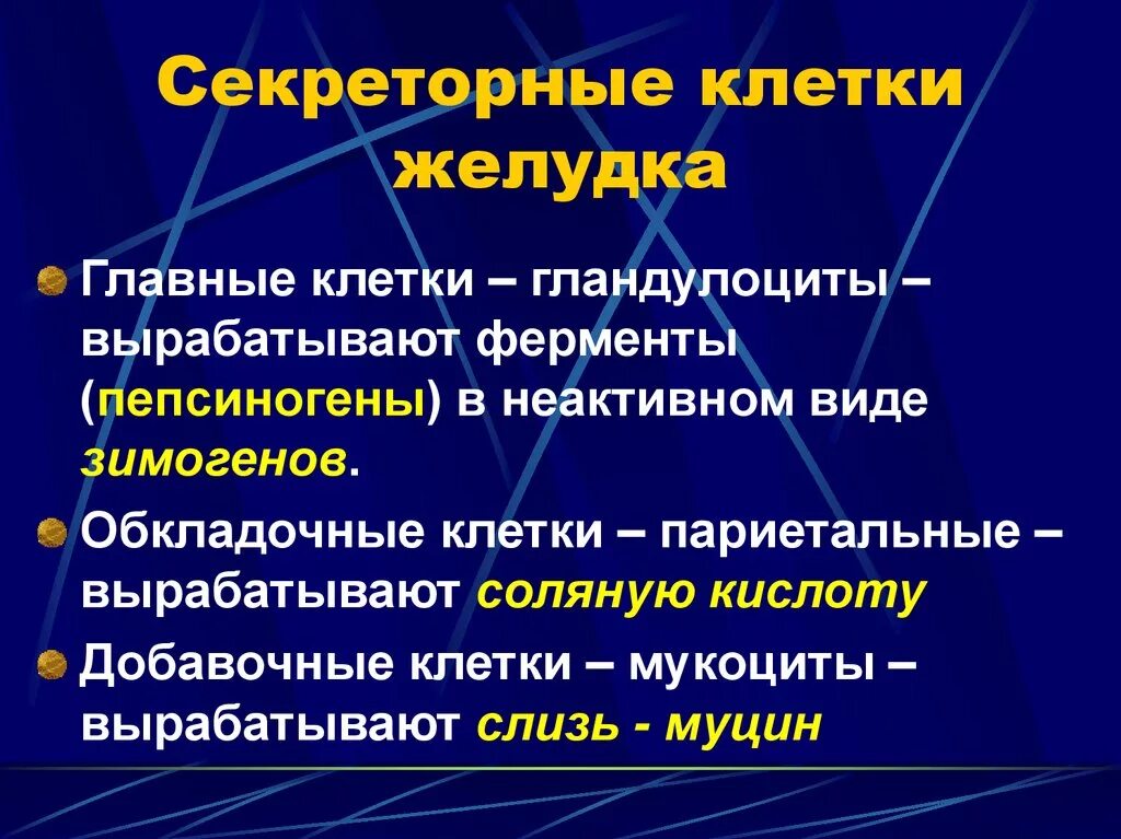 Секреторные клетки секретируют. Секреторные клетки желудка. Главные клетки желез желудка вырабатывают. Главные клетки желудка секретируют.