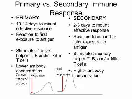 Secondary system