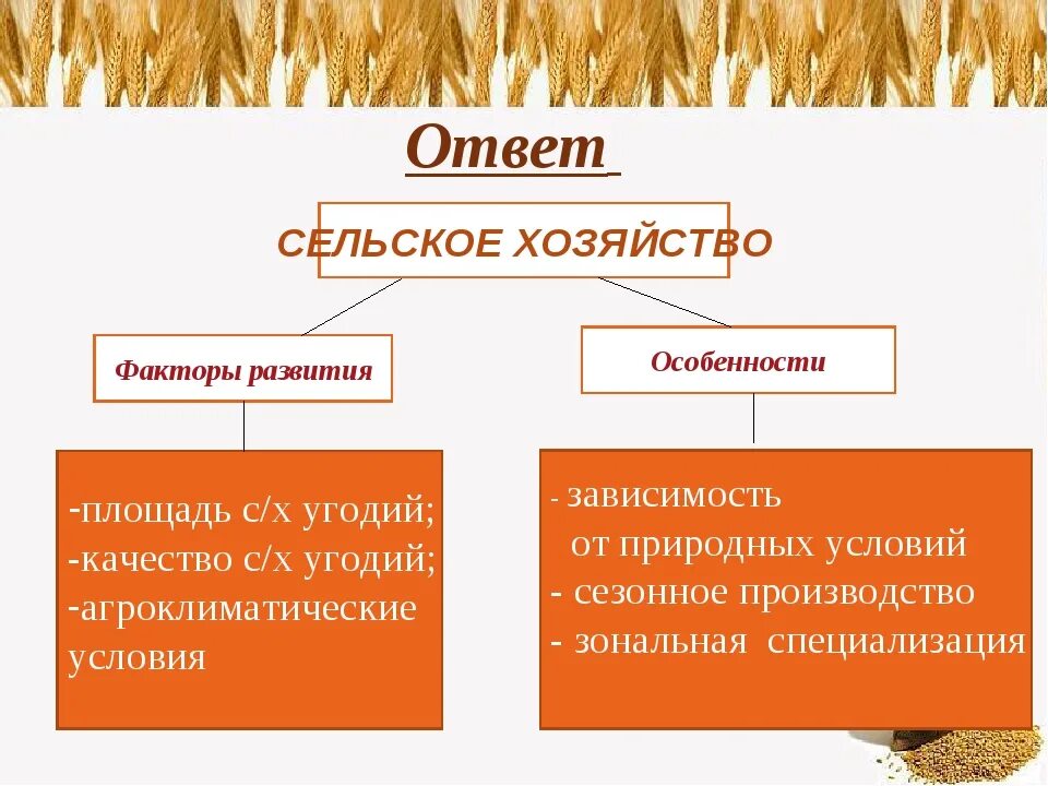 В чем различия специализации сельского хозяйства. Факторы развития растениеводства. Факторы сельского хозяйства. Факторы развития сельского хозяйства. Факторы развития сельского хозяйства России.