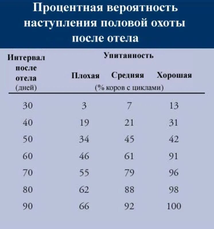 Этапы полового цикла. Цикл охоты у коров. Стадии половой охоты у коров. Фазы полового цикла коровы. Этапы охоты у коров.