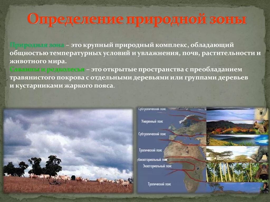 Определение природные компоненты. Природные зоны определение. Природные комплексы. Крупный природный комплекс обладающий общностью температурных. Природный комплекс определение.