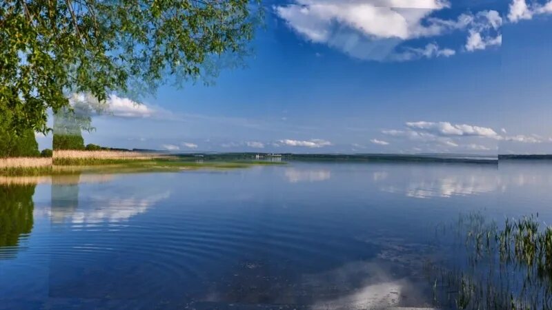 Плещееве сайты. Озеро Плещеево Сергиево подворье. Плещеево озеро берег с камышом. Панорама Плещеева озера. Плещеево озеро фото с высоты.