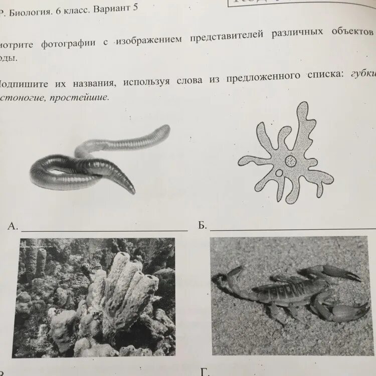 Название объекта выпадающего из общего ряда. Выпиши название объекта выпадающего из общего ряда. Три из изображолнный олбьектов обьедены щбщеми признгакиами. Общим признаком выпишите название объекта выпадающего из общего.