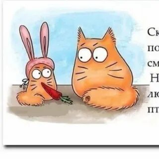 Pookie meaning