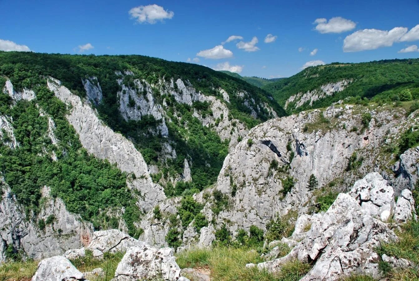 Крас ст. Плато Карст Словения. Известняковое плато крас в Словении. Известняковое плато Карст. Плато Карст горы.