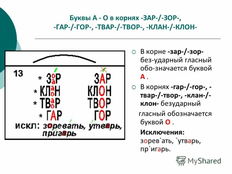 10 слов с корнем зар