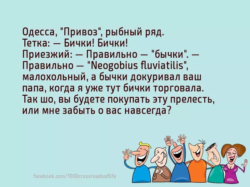 Бычки бычки анекдот. Анекдоты про Одесский привоз. Анекдоты про привоз в Одессе. Шутки на Привозе. Анекдот бички бички Одесса.