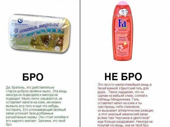 Цвет бро. Бро не бро. бро не бро картинки. бро не бро мухоловка. сороконожка бро не бро.