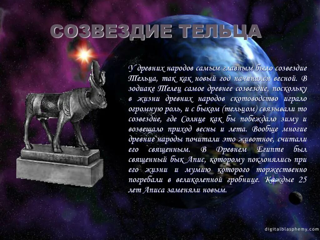 Легенда о созвездии телец. Легенда о тельце. Легенда о тельце. Легенда о созвездии тельца для детей. Зодиакальное созвездие телец.