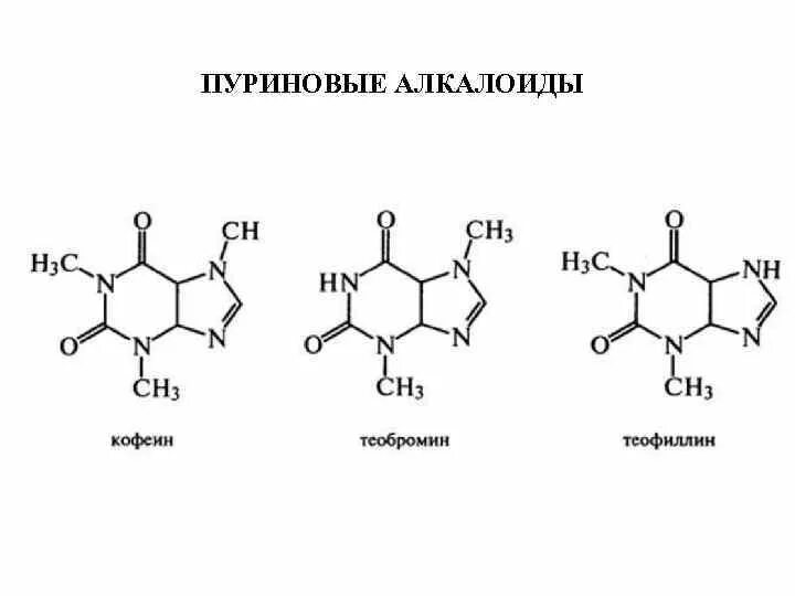 Формы кофеина. Алкалоиды формула химическая. Алкалоиды производные Пурина. Кофеин теобромин теофиллин формула. Теофиллин химическая формула.