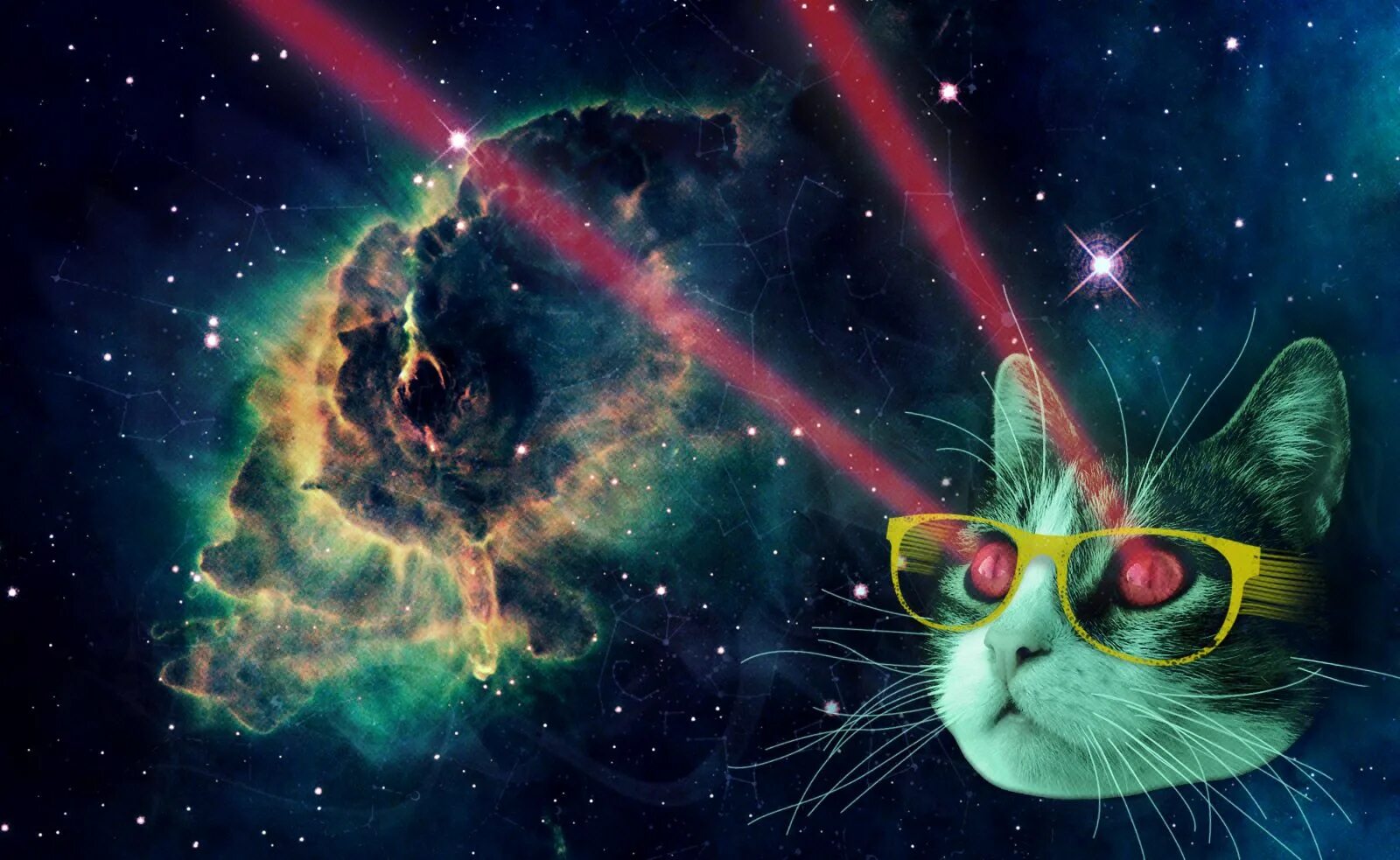 Космический кот. Кот в космосе. Кот космос арт. Галактические коты. Гарфилд космический