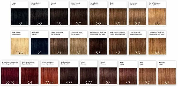 Pin on Hair 2 Brown hair color chart, Clairol hair color, Hair color chart