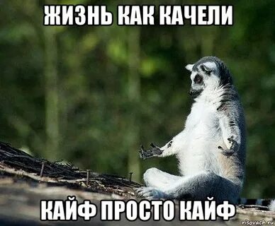 Ловите кайф от жизни