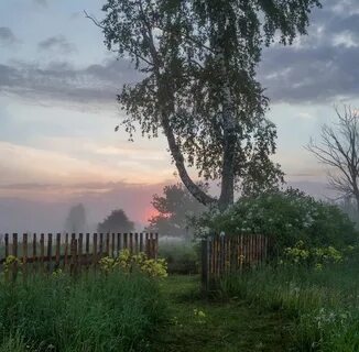 Деревенский пейзаж утро