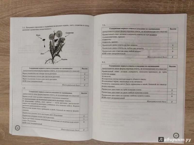 Впр по биологии проверочная работа 8 класс