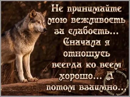 Хорошее отношение взаимно