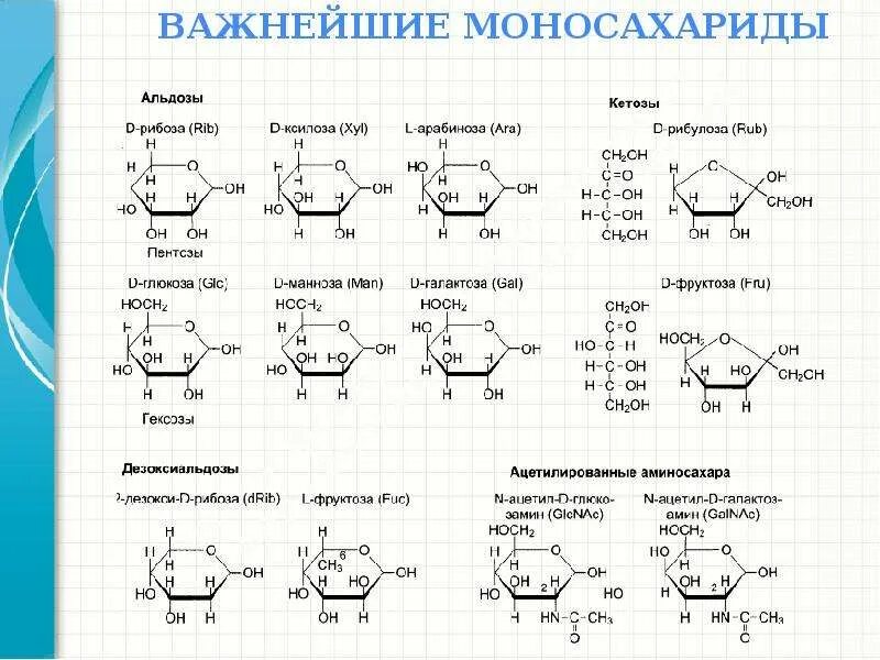 К моносахаридам относятся рибоза. Моносахариды кетозы. Моносахарид альдоза. Шестиуглеродный моносахарид. Гексозы альдозы и кетозы.