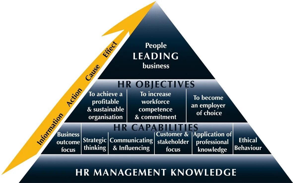 Система управления hrm. Hr управление персоналом. hr менеджмент. hrm human resource management. менеджмент управление персоналом.
