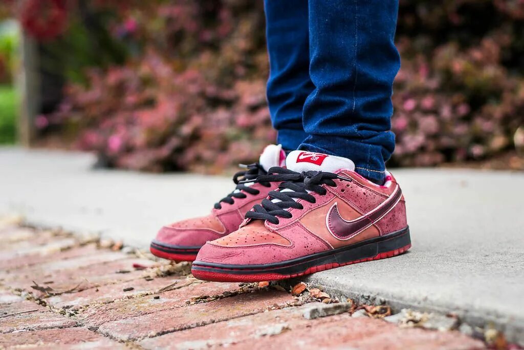 Найк лобстер. Nike SB Dunk Red Lobster. Nikesb Dunk Low Lobster. Nike SB Dunk Low Lobster. Nike SB Dunk Low Red Lobster.