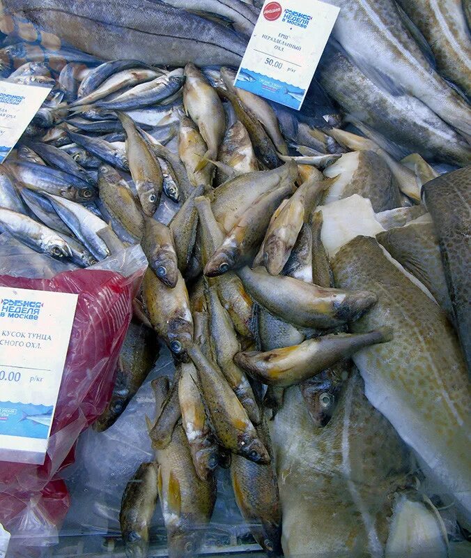 Где купить недорого рыбы. Недорогая морская рыба. Самая дешевая морская рыба в магазинах. Самая дешёвая морская рыба название. Самая дешевая рыба в магазине.