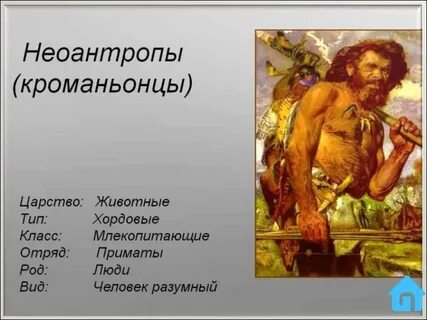 Современный человек особенности строения и образ жизни