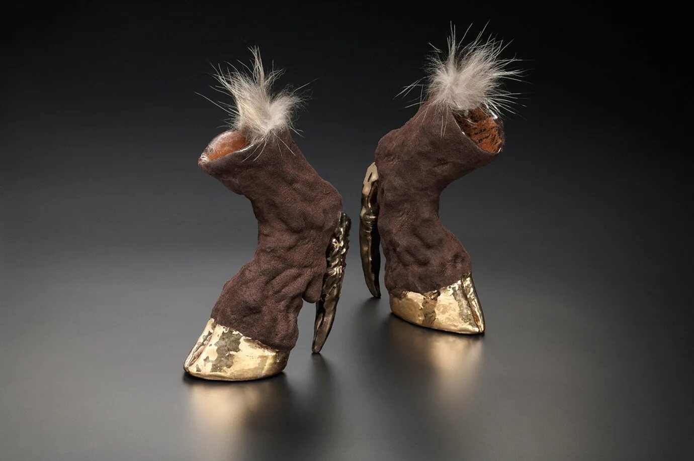 Самые ботинок. Horse hooves Shoes туфли. Айрис Шиферштейн. Необычная обувь. Необычные ботинки.