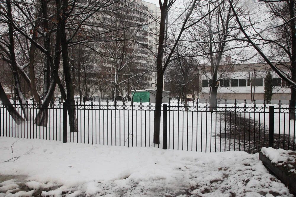 гимназия №57. гимназия 631 санкт-петербург. 5 гимназия королев юбилейный. гимназия территория. 11 гимназия королев территория.