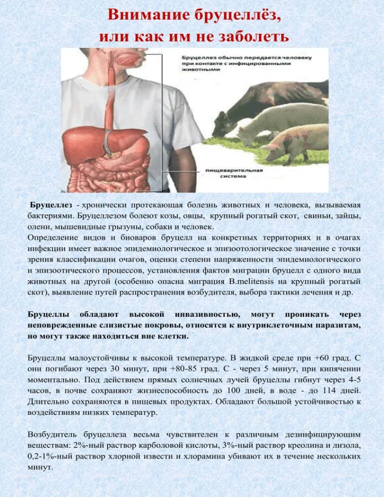 Бруцеллез симптомы у животных. Профилактика бруцеллеза памятка. профилактика бруцеллеза буклет. бруцеллез памятка для населения.