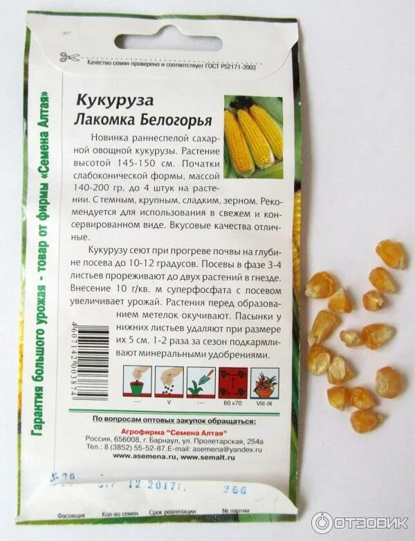 Зерновка кукурузы сахарной. Кукуруза сколько семян. Семена кукурузы семена алтая "лакомка белогорья" (белый пакет) 5 г. Вес 1 початка кукурузы. Кукуруза сахарная царица.