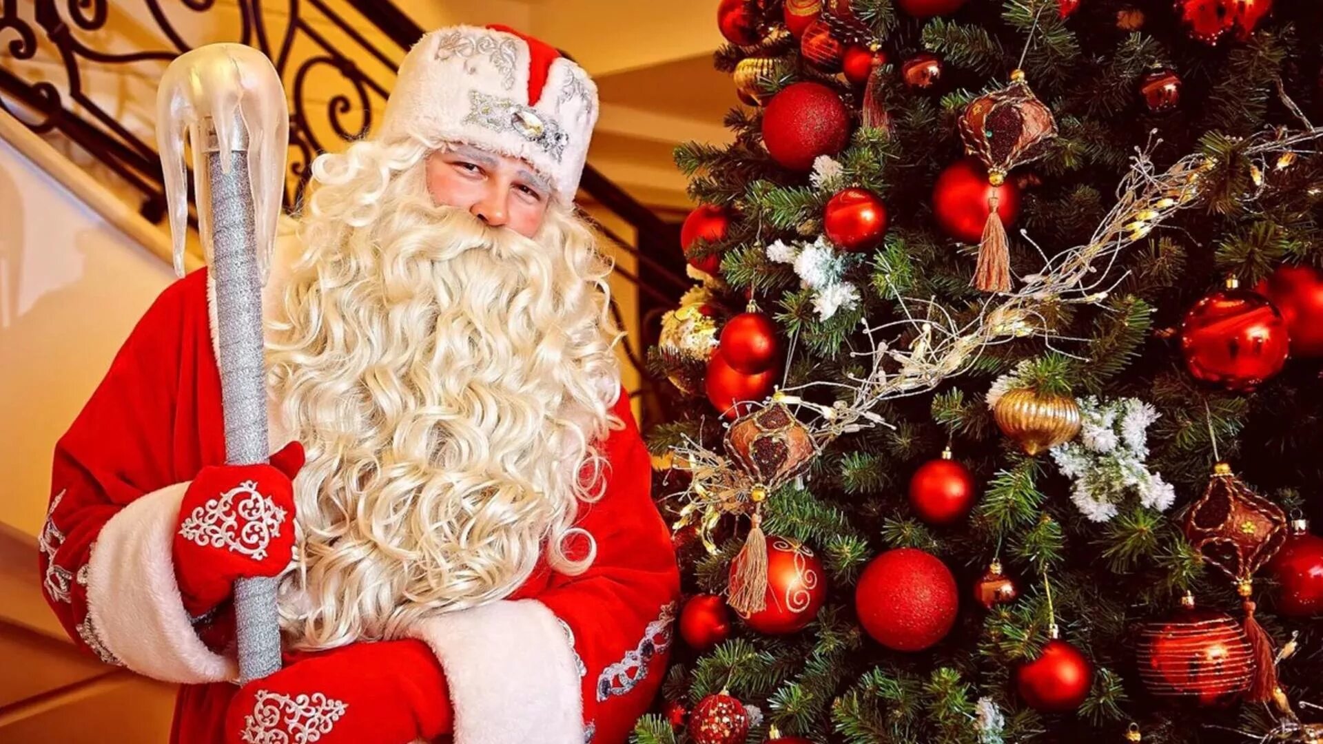 Дед мороз на новый год. Новый год дед Мороз. Русский дед Мороз. Фотосессия с дедом Морозом. Новогодняя елка и дед Мороз.