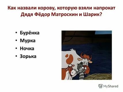 Кот матроскин вырастил в своем саду
