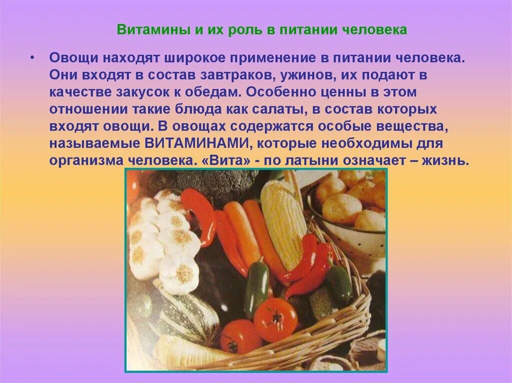 Значение овощей в питании. Овощи в питании человека. Роль овощей в питании. Важность овощей в питании. Сообщение овощи в питании человека.