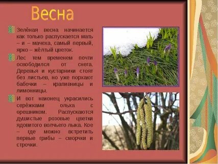 План ответа как преображается природа весной