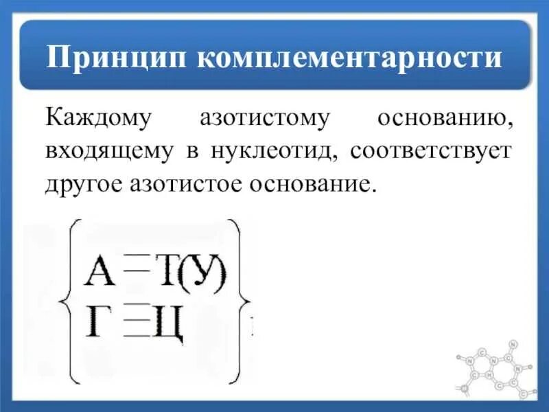 Какие основания называют комплементарными