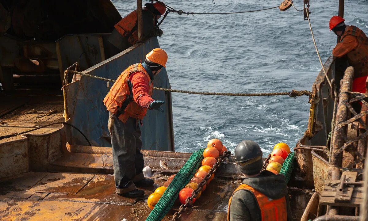 Добыча рыбы. Краболов в баренцевом море. Баренцево море промысел. Промысел рыбы. Морская рыбалка баренцево море.